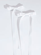 The Ribbon Co. Hair Clip (2 Pcs)